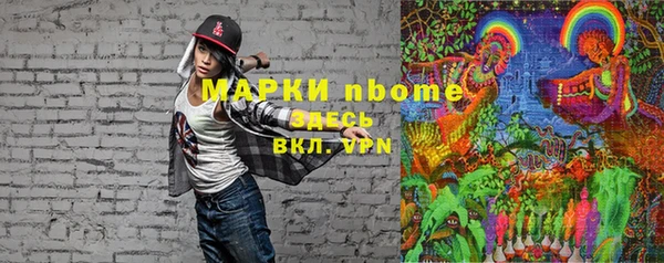 индика Богданович