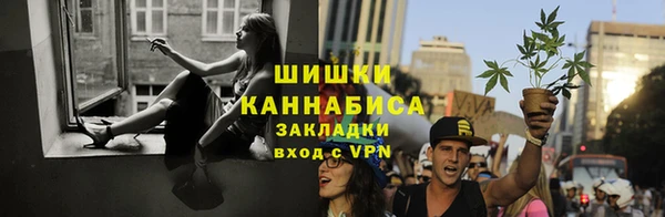 индика Богданович