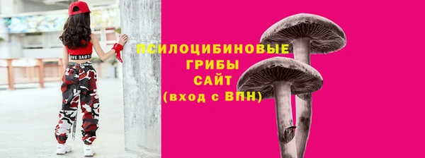 индика Богданович