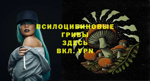 гашишное масло Богородицк
