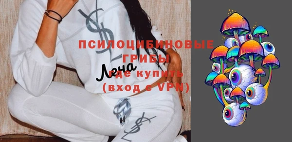 ECSTASY Бронницы