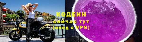 индика Богданович