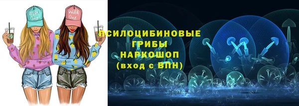 индика Осинники