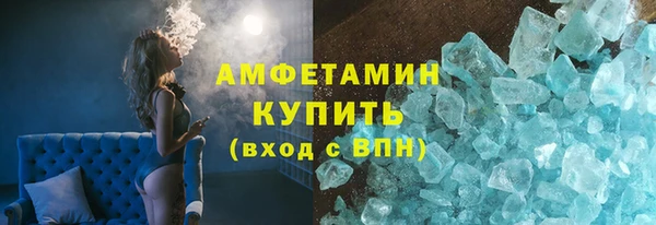 индика Богданович